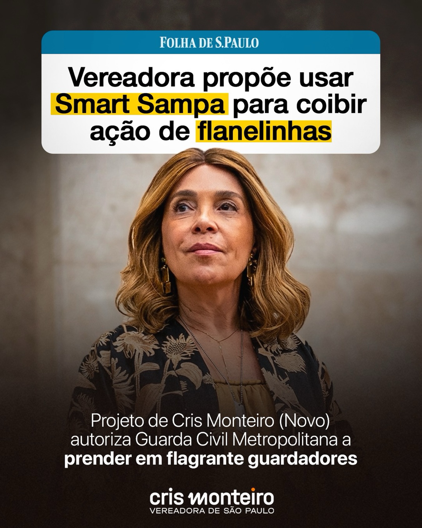 A máfia dos flanelinhas vai acabar!