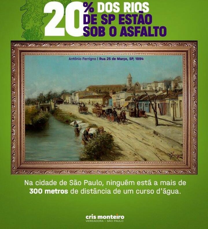 20% DOS RIOS DE SP ESTÃO SOB O ASFALTO