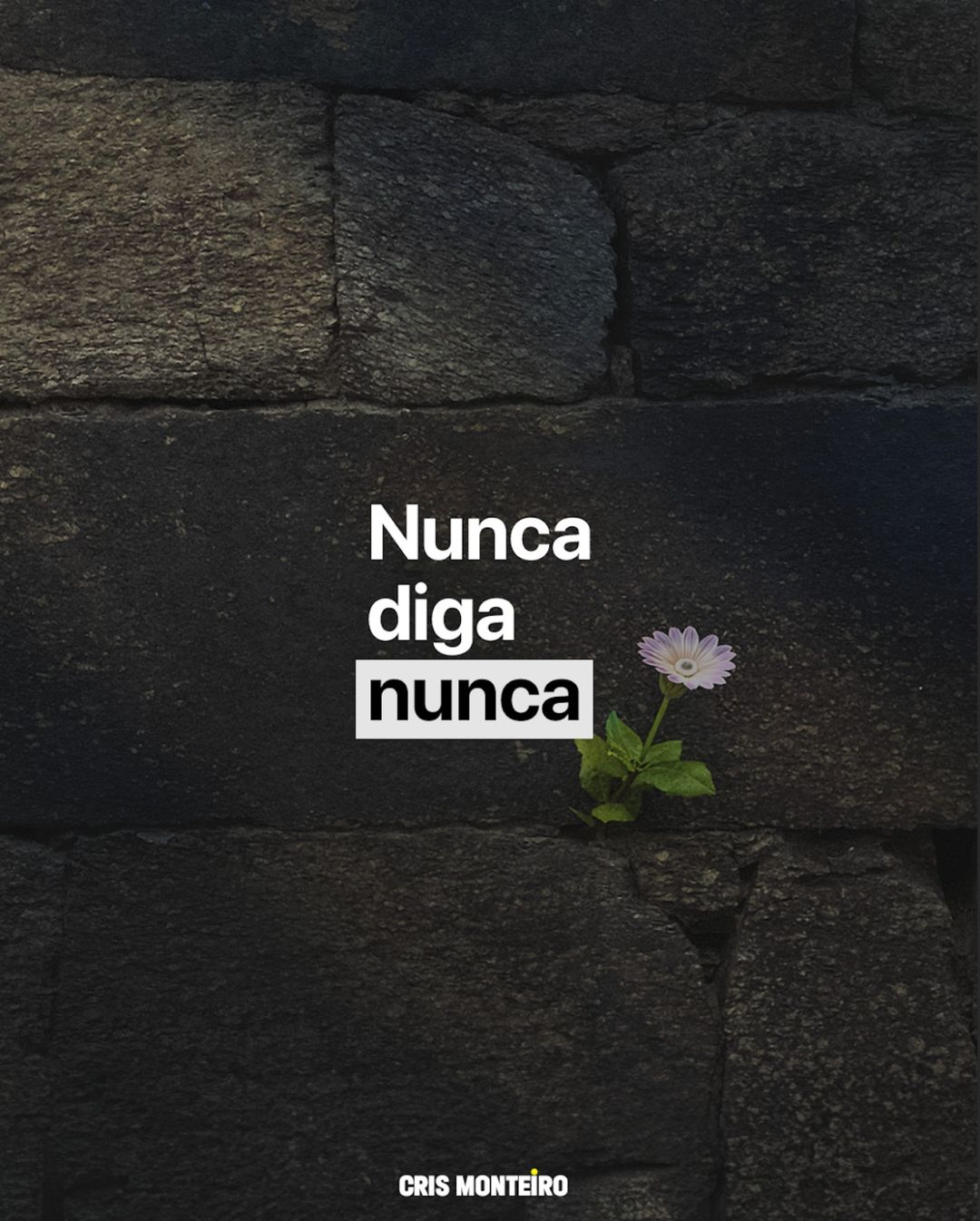 Nunca diga nunca!