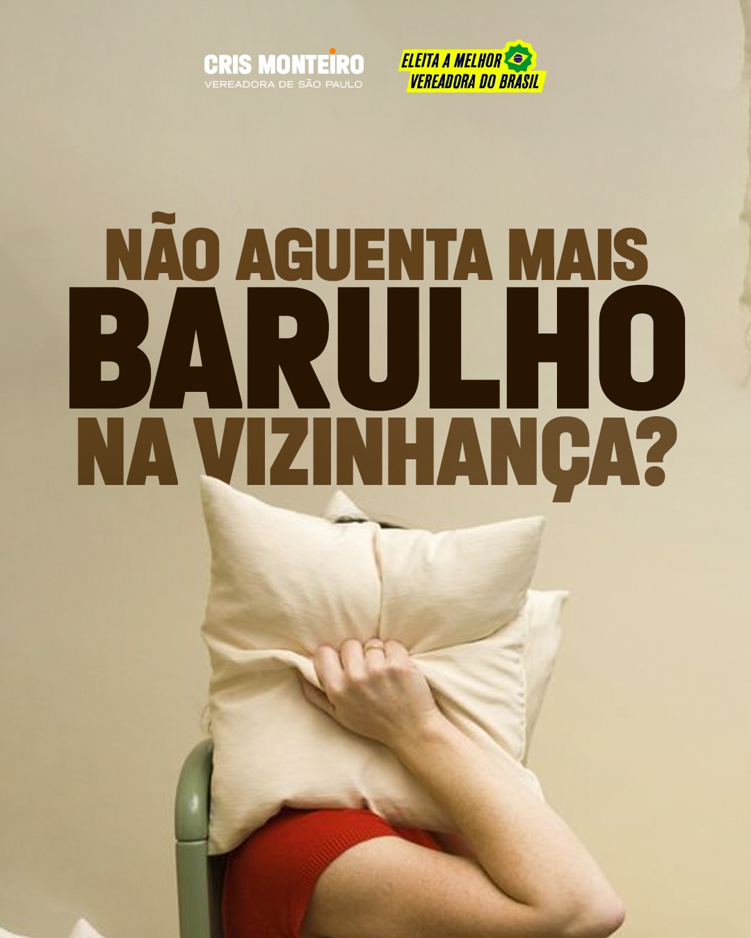 PL Anti-Barulho: não aguenta mais barulho na vizinhança?