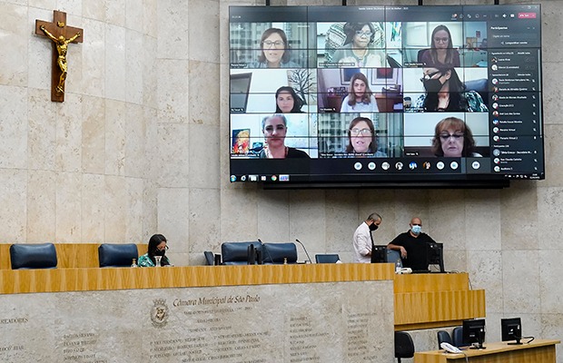 Dia da Mulher celebrado na Câmara com homenagem para Irina Bullara- Renova BR