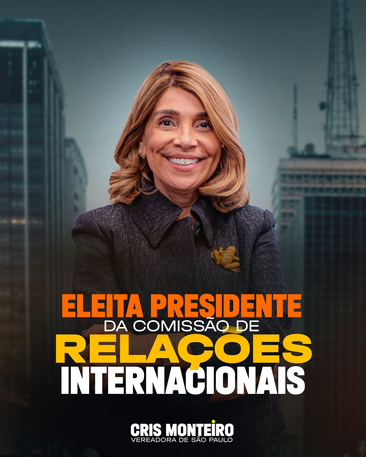 Cris Monteiro eleita Presidente da Comissão de Relações Internacionais