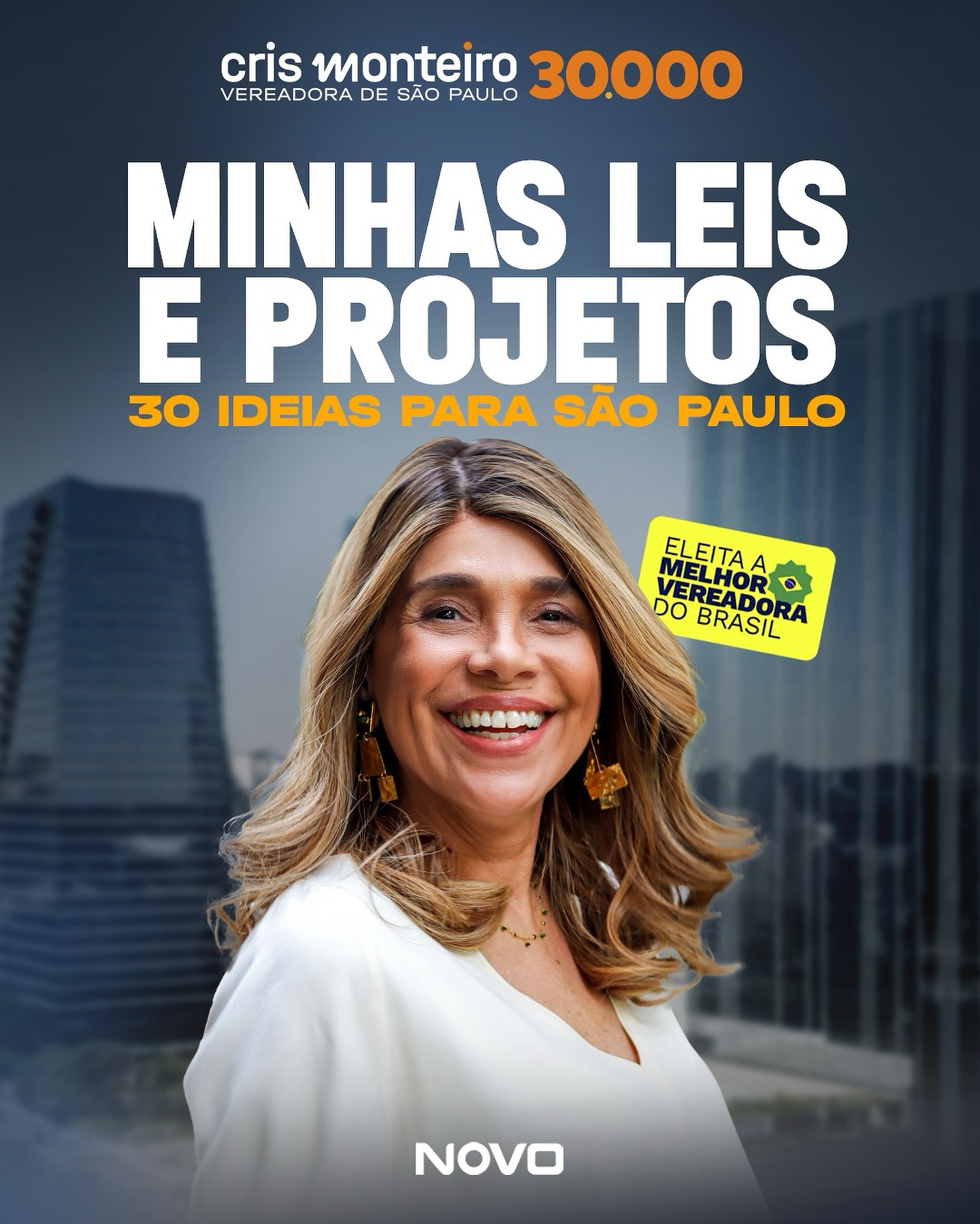 Minhas Leis e Projetos: 30 ideias para São Paulo
