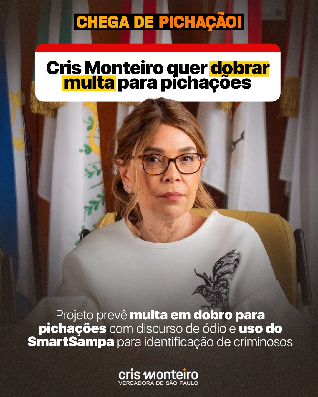 Vamos dobrar as multas para pichações!