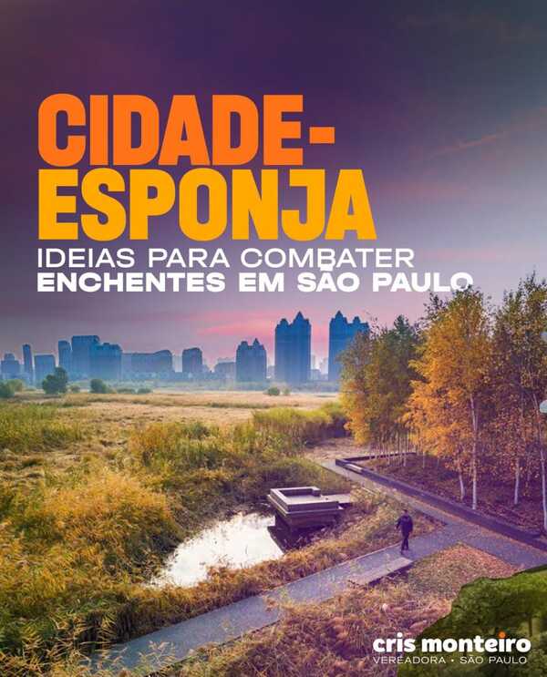 Cidade-Esponja: Ideias para combater enchentes em São Paulo