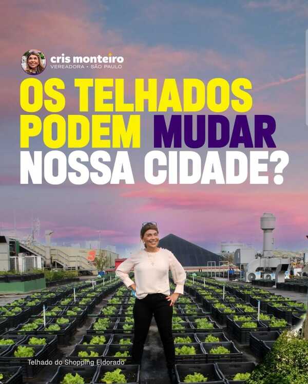 Como os telhados de São Paulo podem nos ajudar?